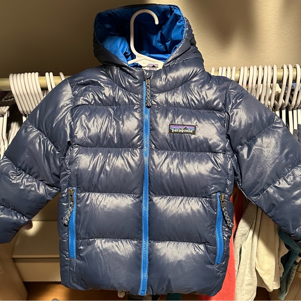 Patagonia Hi-Loft Down Sweater Hoody